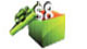 free poker money